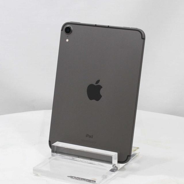 Apple iPad mini (第6世代) 256 GB Apple iPad mini第6世代 256GB+ Apple