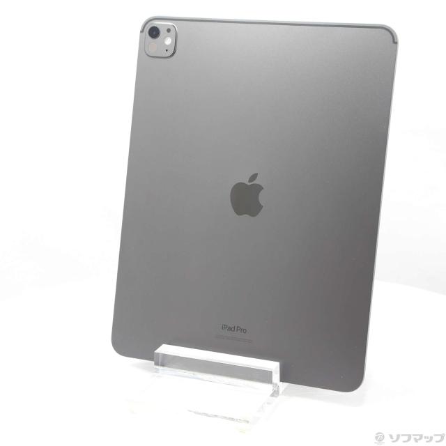 (中古)Apple iPad Pro 13インチ 第1世代 標準ガラス 256GB スペースブラック MVX23J/A Wi-Fi(262-ud)の通販は