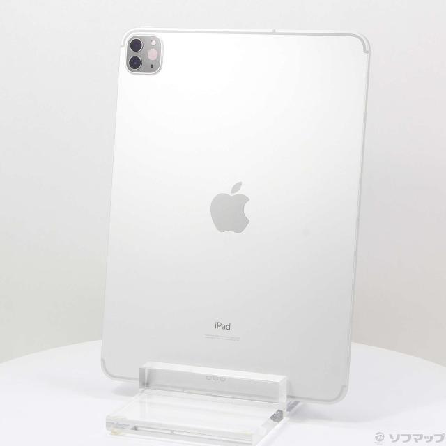 Wi-Fiモデル Apple iPad Pro 11inch(初代) Wi-Fi 512GB iPadOS17