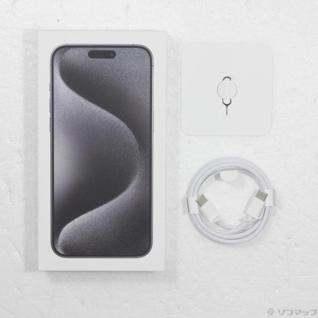 Apple Wi-Fi iPad mini 第6世代 256GB スペースグレイ Apple(アップル