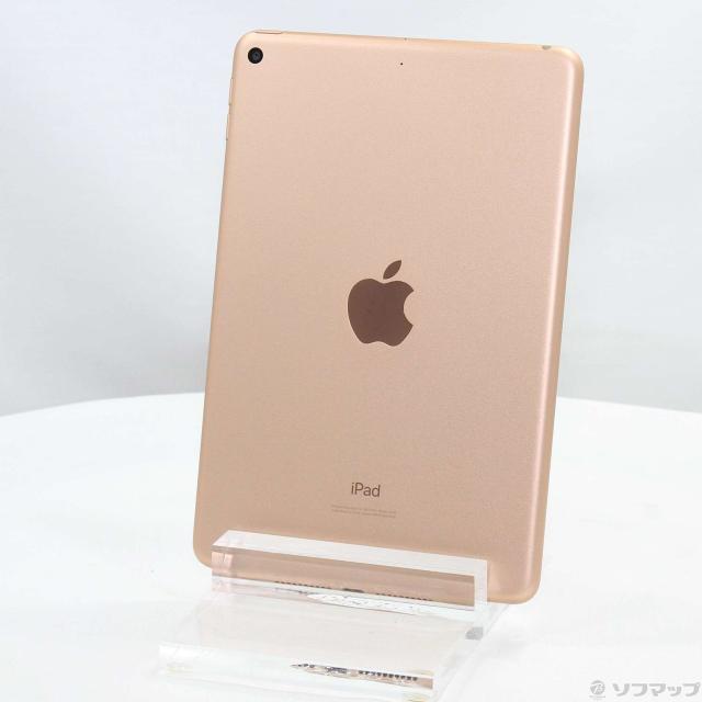 Apple iPad mini 4 64GB Wi-fi ゴールド 防水ケース付 中古)Apple iPad