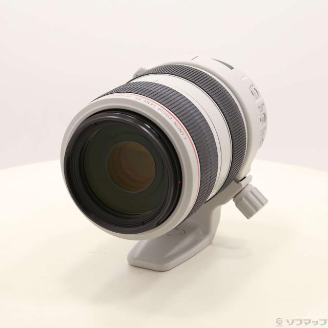 Canon Canon EF 70-300mm F4-5.6 L IS USM (レンズ)(262-ud) カメラ Canon Canon EF 70-300mm F4-5.6 L IS USM (レンズ)(262-ud) カメラ