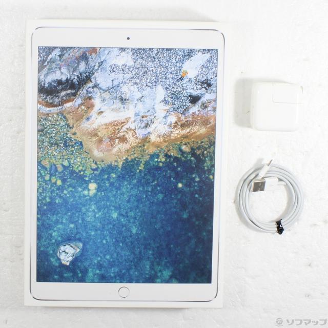 docomo Apple iPad pro 10.5インチ 64GB Wi-Fi ＋ Cellular シルバー