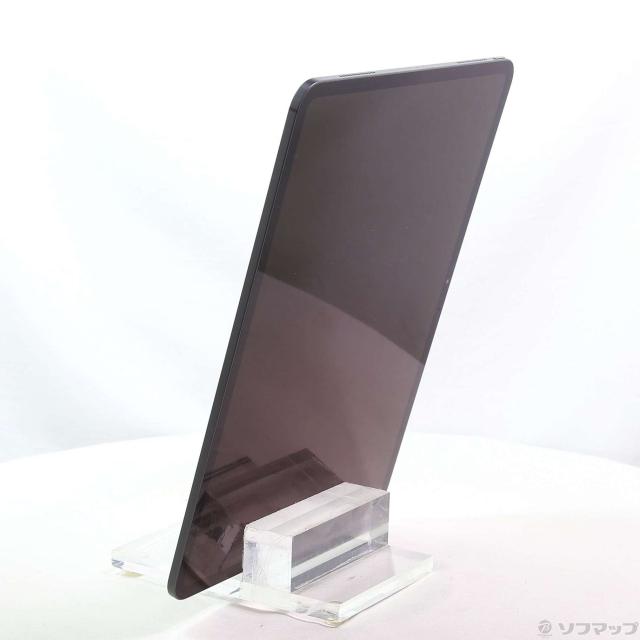 中古品〕 iPad Pro 13インチ 第1世代 標準ガラス 256GB スペース