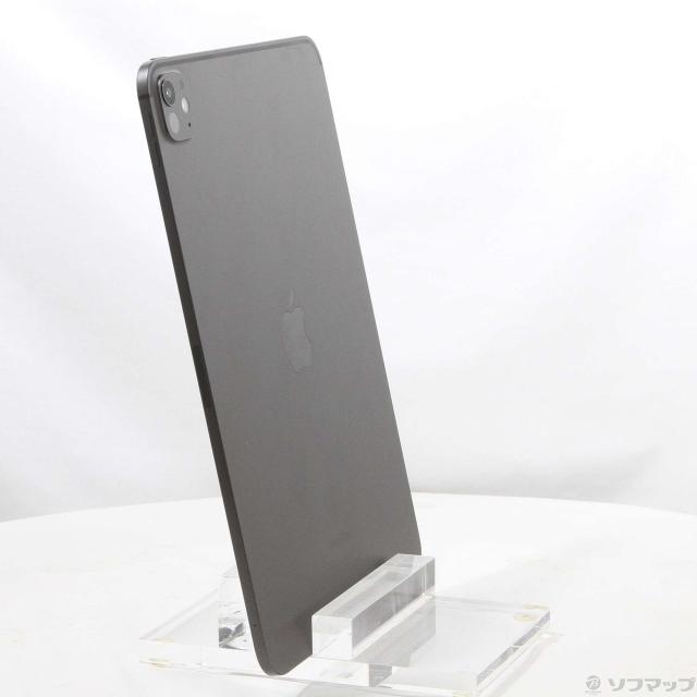 (中古)Apple iPad Pro 11インチ 第5世代 標準ガラス 256GB スペースブラック 3M772J/A Wi-Fi(198-ud)_3