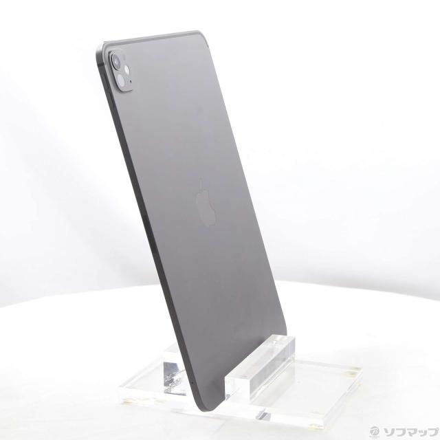 (中古)Apple iPad Pro 11インチ 第5世代 標準ガラス 256GB スペースブラック MVV83J/A Wi-Fi(269-ud)_3