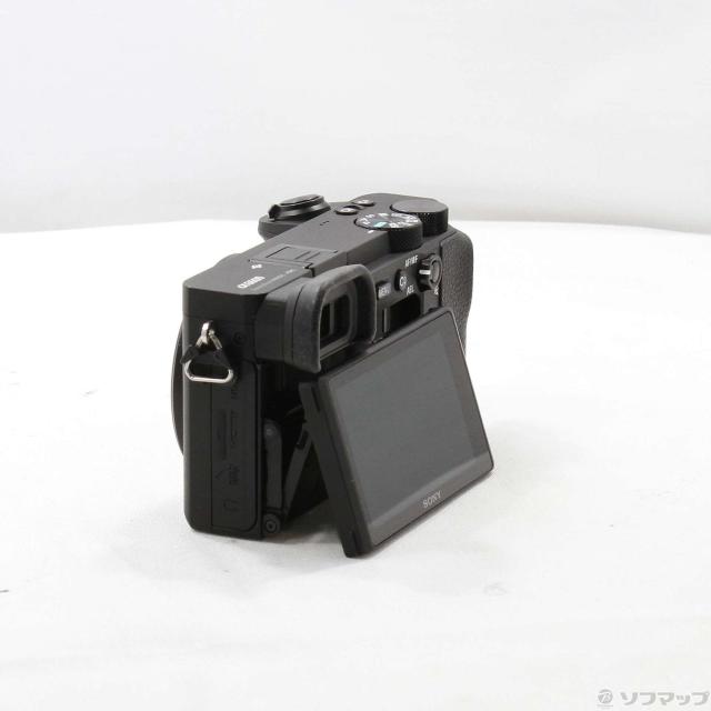 ボディ α6600 SONY ソニー ILCE-6600 ミラーレス一眼 公式通販 ILCE 