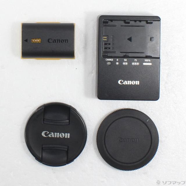 (中古)Canon EOS R6 RF24-105 IS STM レンズキット(251-ud)_5