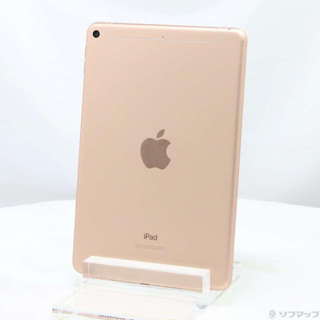 (中古)Apple iPad mini 第5世代 64GB ゴールド MUX72J/A docomoロック解除SIMフリー(352-ud)