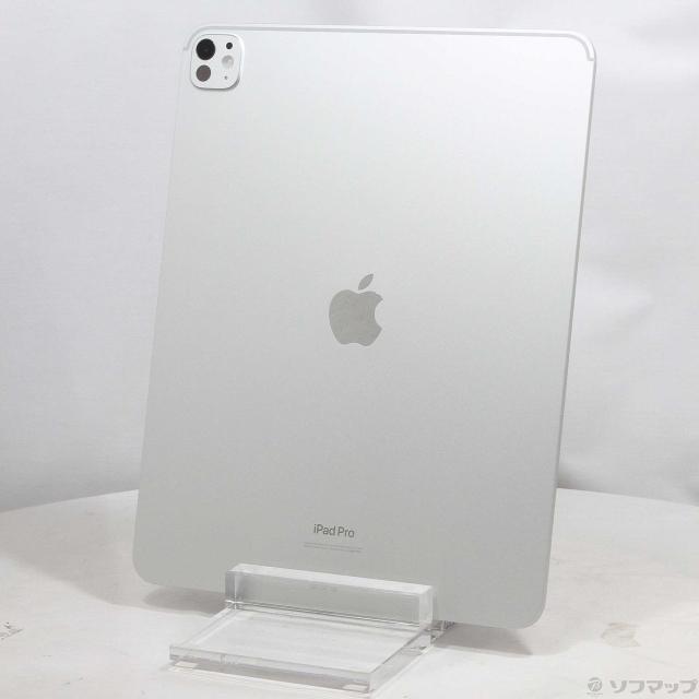 (中古)Apple iPad Pro 13インチ 第1世代 Nano-textureガラス 1TB シルバー MWRG3J/A Wi-Fi(377-ud)