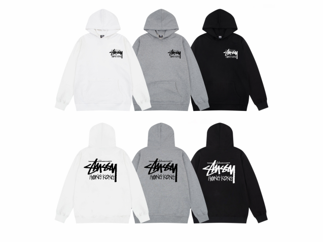 古着MONKEY【即完売モデル】ステューシー STUSSY センターロゴ パーカー #1846