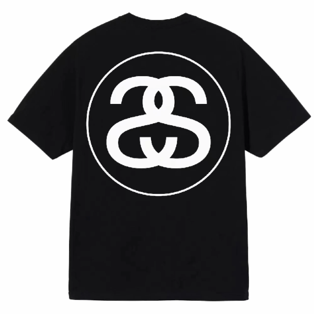 STUSSY ステューシー Tシャツ STUSSY BIG LINK TEE カットソー 半袖