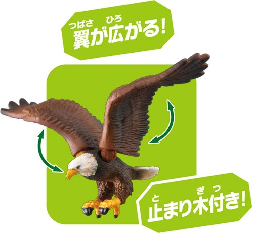 アニア AS-05 ワシ (ハクトウワシ) 【鷲 鳥 動物 どうぶつフィギュア