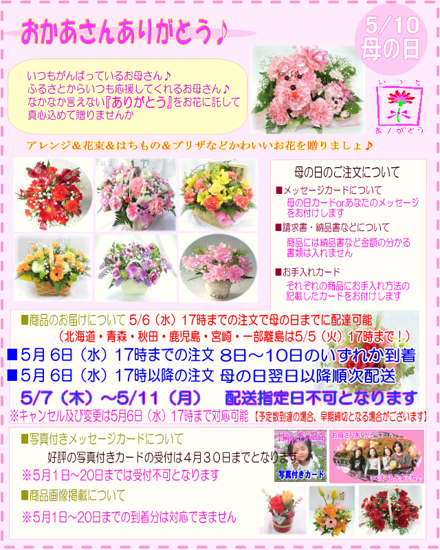 早目に届けok 大人気 母の日 長持ち花鉢マミーバスケット プードル無し 3 5円 送料無料 ネット特価 の通販はau Pay マーケット いいhana倶楽部