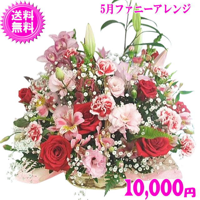 5月の誕生花★ファニーアレンジ10,000円【送料無料】ネット特価！の通販は