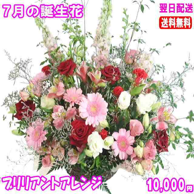 7月の誕生花★ブリリアントアレンジ10,000円【送料無料】の通販は 11,000円
