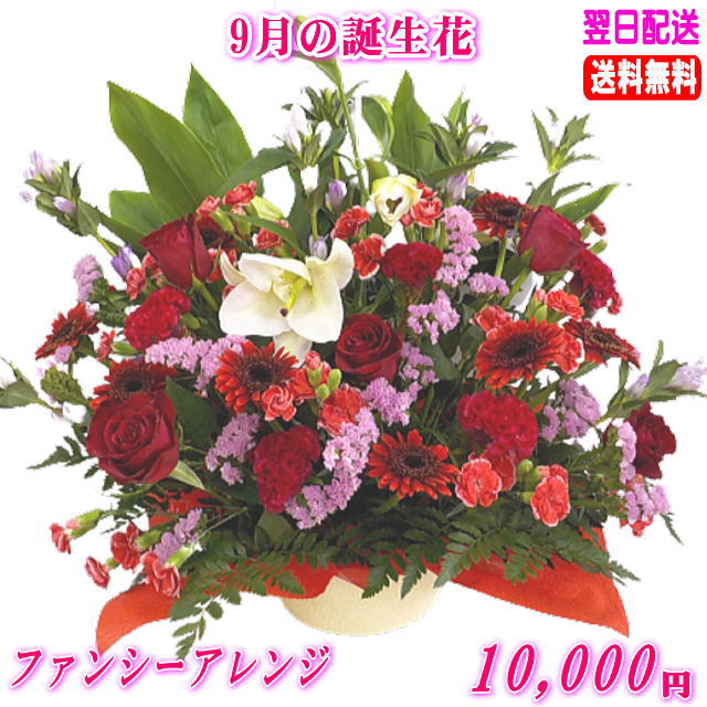 9月の誕生花★ファンシーアレンジ10,000円【送料無料】ネット特価！の通販は 11,000円
