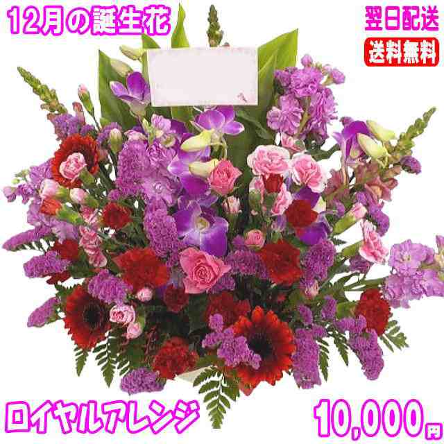 12月の誕生花★ロイヤルアレンジ10,000円【送料無料】ネット特価！の通販は 11,000円
