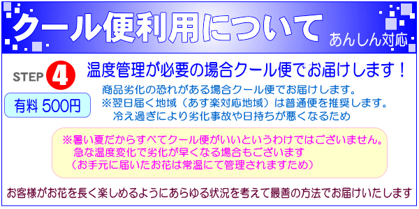 【2023年】喜寿祝いのプレゼント 人気ランキングTOP10！77 ...
