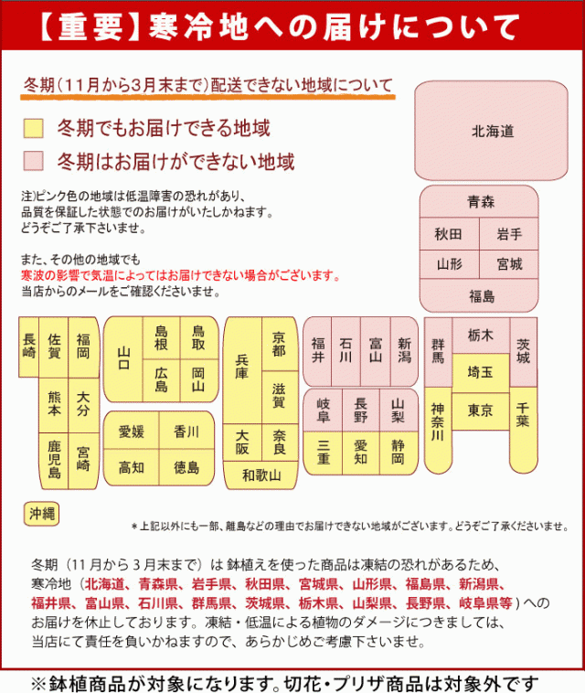 送料無料 選べる 1ダースのバラの花束とシャンパンのセット 花 ギフト お花 誕生日 プレゼント 女性 彼女 母 妻 女友達 花 母の日 結婚記の通販はau Pay マーケット フラワーマーケット花由