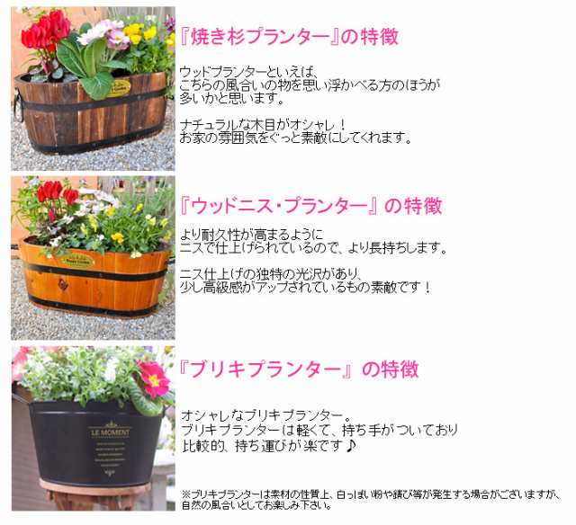 送料無料 寄せ植え 花色とプランターが選べる 季節のおまかせカントリーガーデン お花 ギフト 誕生日プレゼント 女性 友達 花 おの通販はau Pay マーケット フラワーマーケット花由