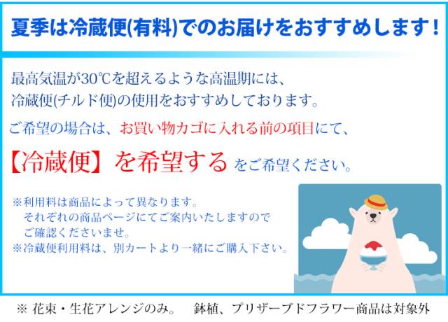 12時迄の受付で最短翌日着 生花お供えアレンジメント ｍサイズ 画像配信 お供え お悔やみ 花 初七日 四十九日 お供え物 お供え花 法事 の通販はau Pay マーケット フラワーマーケット花由