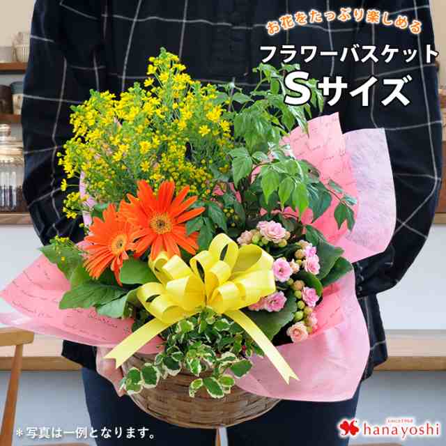 季節のおまかせ花鉢とグリーンの寄せ入れｓサイズ フラワーバスケット ギフト 花 クリスマス 誕生日 プレゼント 母 女性 祖母 お花 おしの通販はau Pay マーケット フラワーマーケット花由