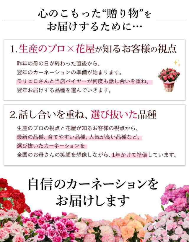 早割 母の日 ギフト 花 プレゼント 21 送料無料 母の日限定 プレミアム カーネーション 鉢植え 選べる厳選10種類 5号鉢inバスケット 5 の通販はau Pay マーケット フラワーマーケット花由