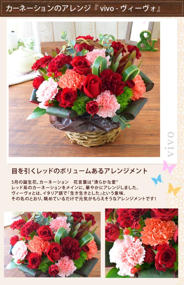 誕生花を使ったアレンジメント 誕生花の生花アレンジmサイズ 5月カーネーション 誕生日プレゼント 女性 母 祖母 義母 女友達 男性 父 花 の通販はau Pay マーケット フラワーマーケット花由 誕生花を使ったアレンジメント 誕生花の生花アレンジmサイズ 5月カーネーション 誕生日プレゼント 女性 母 祖母 義母 女友達 男性 父 花 の通販はau Pay マーケット フラワーマーケット花由