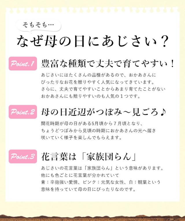 早割 母の日 22 選べる3種類 大栄花園さんのアジサイ4号鉢と長崎カステラセット あじさい 紫陽花 鉢 鉢植え 花鉢 鉢花 花 プレゼント の通販はau Pay マーケット フラワーマーケット花由 早割 母の日 22 選べる3種類 大栄花園さんのアジサイ4号鉢と長崎カステラセット あじさい 紫陽花 鉢 鉢植え 花鉢 鉢花 花 プレゼント の通販はau Pay マーケット フラワーマーケット花由