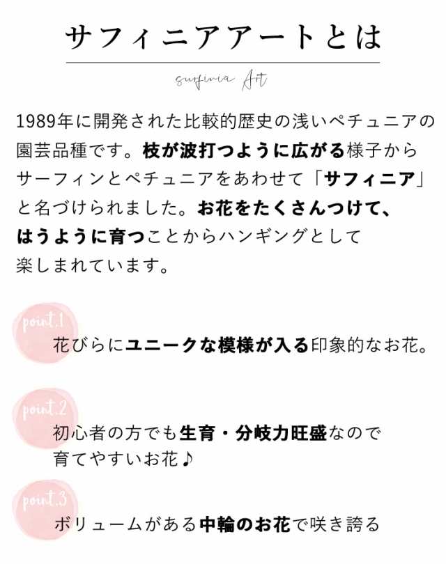 母の日 21 限定ギフト サフィニアアート ももいろハート 江戸しぼり あずきフラッペ とらネコ サントリーフラワーズ 5 4 5 9の間におの通販はau Pay マーケット フラワーマーケット花由