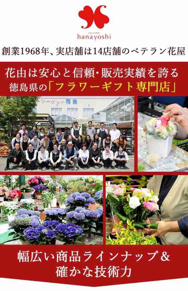 即日発送対応 季節のおまかせ花鉢とグリーンの寄せ入れ Lサイズ 鉢植えギフト お祝い 花 誕生日 プレゼント 女性 母 女友達 祖母 おばの通販はau Pay マーケット フラワーマーケット花由