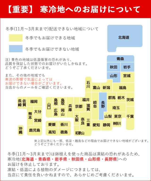 桜 盆栽 花芽付 南殿桜と旭山桜の創作盆栽 信楽焼手造り 盆栽鉢 ブロッサムガーデン 送料無料 2 5 3 31で日時指定ｏｋ 苔あそび 誕生日 の通販はau Pay マーケット フラワーマーケット花由