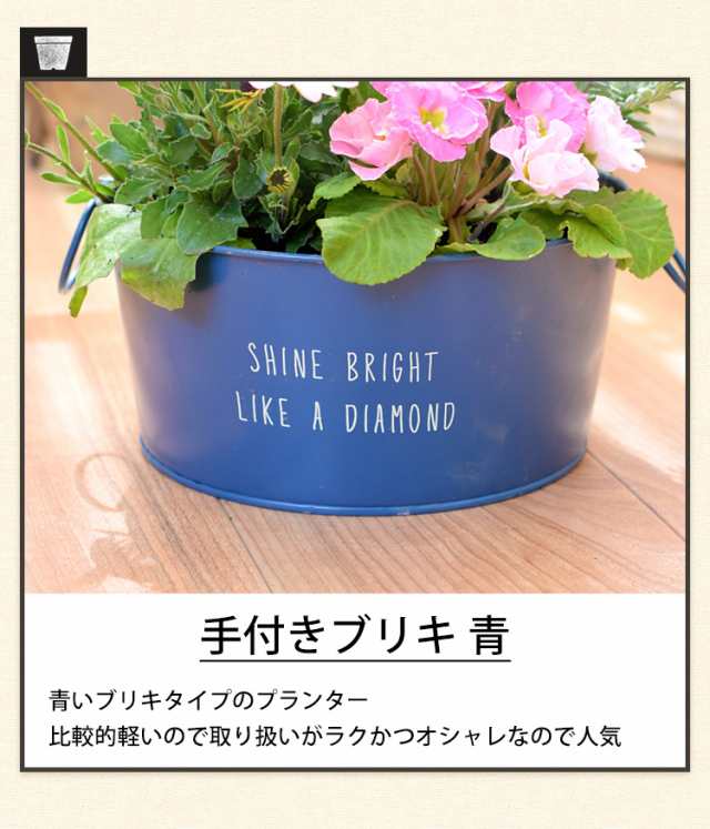 プランターが選べる 季節のおまかせ寄せ植えS 旬のお花を プランターが選べる 季節のおまかせ寄せ植えS 旬のお花を