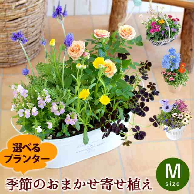 ロングプランター ウッドプランターケース 季節の花入れ ハンドメイド ...