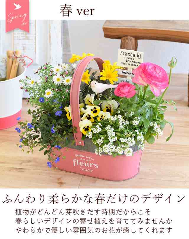 寄せ植え プランターが選べる 季節のおまかせカントリーガーデン 鉢植え ギフト 花 誕生日プレゼント 女性 友達 母 お誕生日 フラの通販はau Pay マーケット フラワーマーケット花由