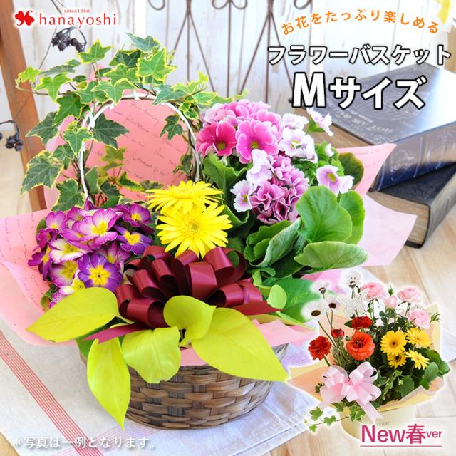 季節のおまかせ花鉢とグリーンの寄せ入れ Mサイズ 花 誕生日 プレゼント 女性 母 祖母 お祝い 鉢花 ギフト フラワーギフト 新築祝い 引っの通販はau Pay マーケット フラワーマーケット花由