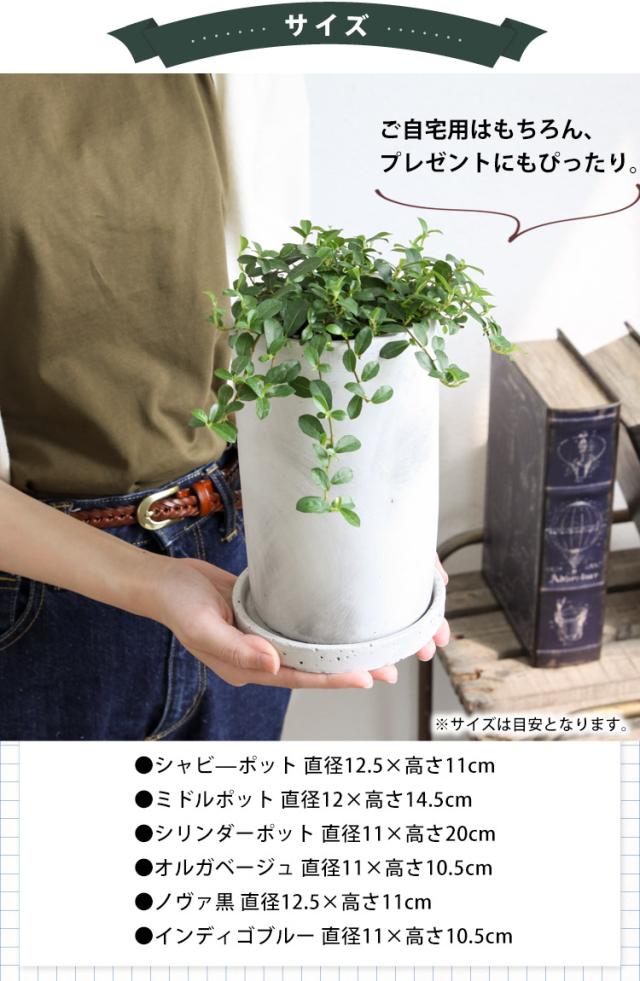 送料無料 自由に選ぶグリーン うつわ 観葉植物 おしゃれ インテリアグリーン 開店祝い 開業祝い ギフト 誕生日 プレゼント 女性 友達 男の通販はau Pay マーケット フラワーマーケット花由