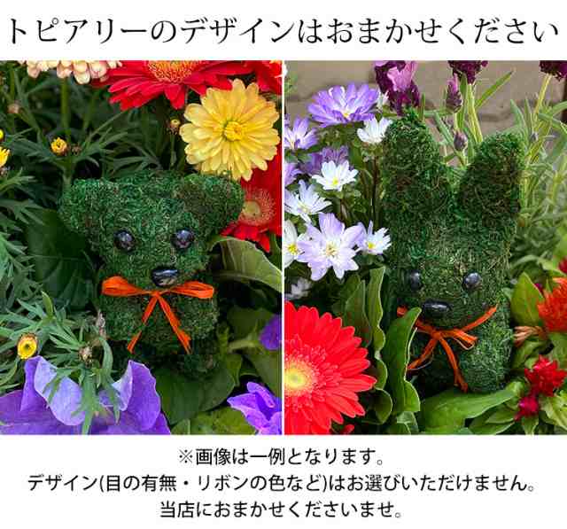 寄せ植え】お花畑みたい♪トピアリーの寄せ植え☆ お祝い お花 鉢植え