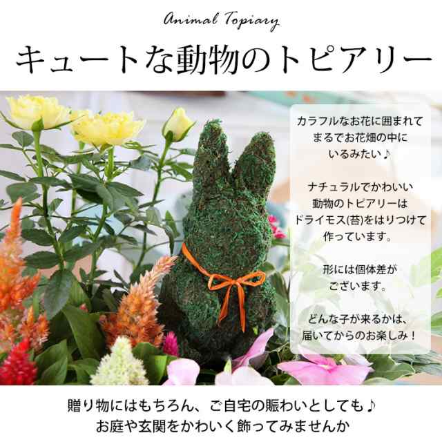 寄せ植え】お花畑みたい♪トピアリーの寄せ植え☆ お祝い お花 鉢植え