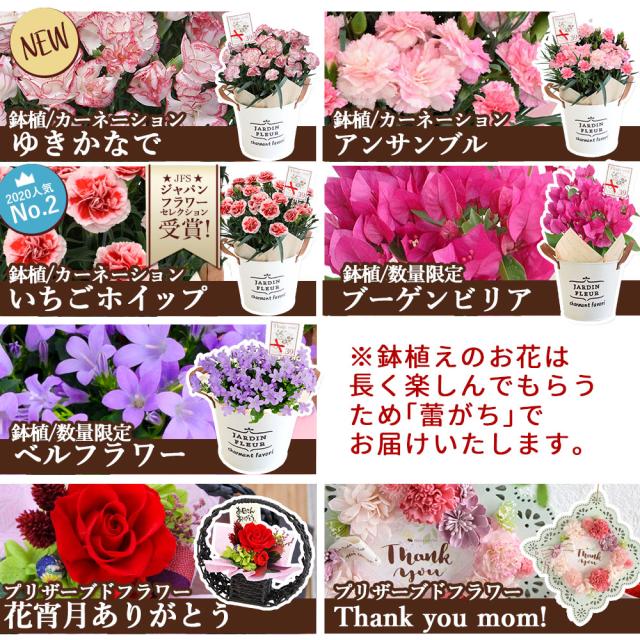 母の日 花とセット 母の日ギフト 花 送料無料 組合せ39通り 13種類から選べるお花と3種類から選べるスイーツのセット プレゼント ギフト の通販はau Pay マーケット フラワーマーケット花由