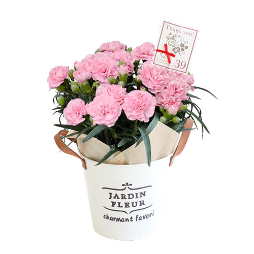 母の日 花とセット 母の日ギフト 花 送料無料 組合せ39通り 13種類から選べるお花と3種類から選べるスイーツのセット プレゼント ギフト の通販はau Pay マーケット フラワーマーケット花由