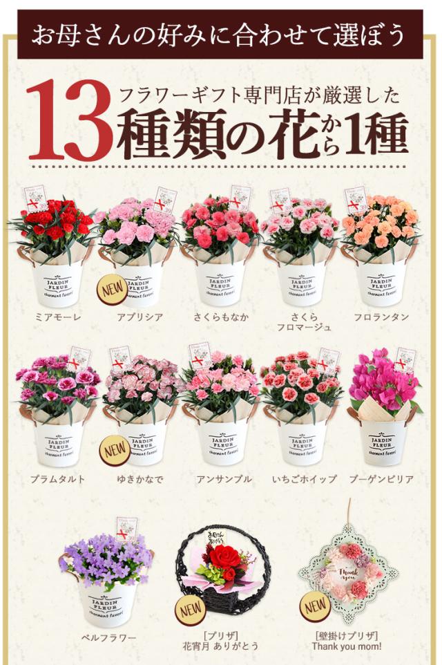 母の日 花とセット 母の日ギフト 花 送料無料 組合せ39通り 13種類から選べるお花と3種類から選べるスイーツのセット プレゼント ギフト の通販はau Pay マーケット フラワーマーケット花由