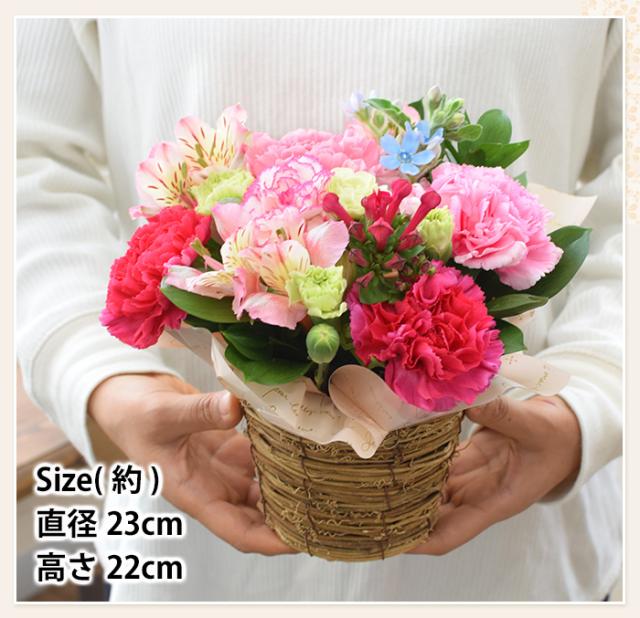 誕生花を使ったフラワーアレンジメント 誕生花の生花アレンジsサイズ 5月カーネーション 誕生日 プレゼント 花 女性 母 祖母 女友達 義母の通販はau Pay マーケット フラワーマーケット花由