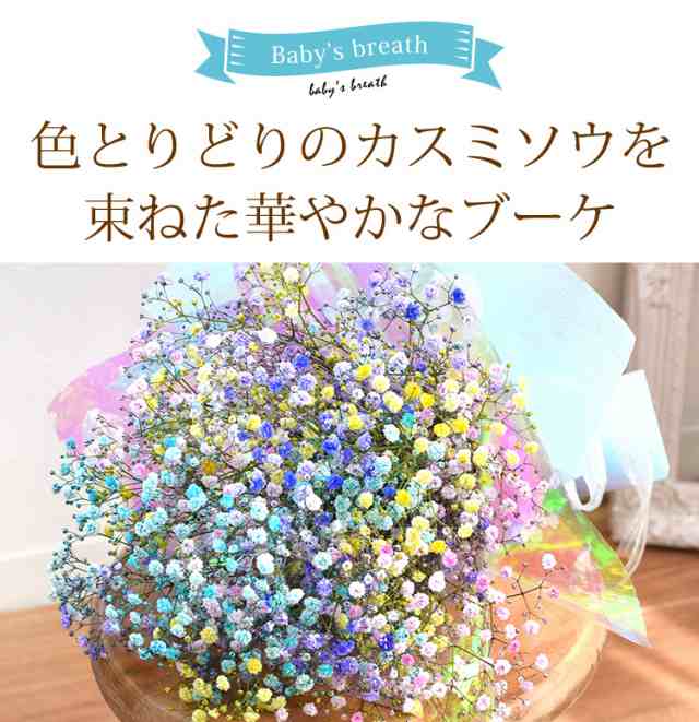 クール便でお届け かすみ草のブーケm カスミソウ 花束 カラフル 花 ギフト 誕生日 プレゼント 女性 母 女友達 祖母 父 フラワーギフト 生の通販はau Pay マーケット フラワーマーケット花由