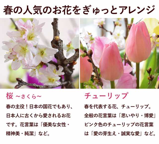 季節限定シリーズ 桜と春の花の生花アレンジ さくら日和 おうち花見 お部屋でお花見 送料無料 チューリップ 卒業祝い 卒業式 プレゼント ｜au  PAY マーケット