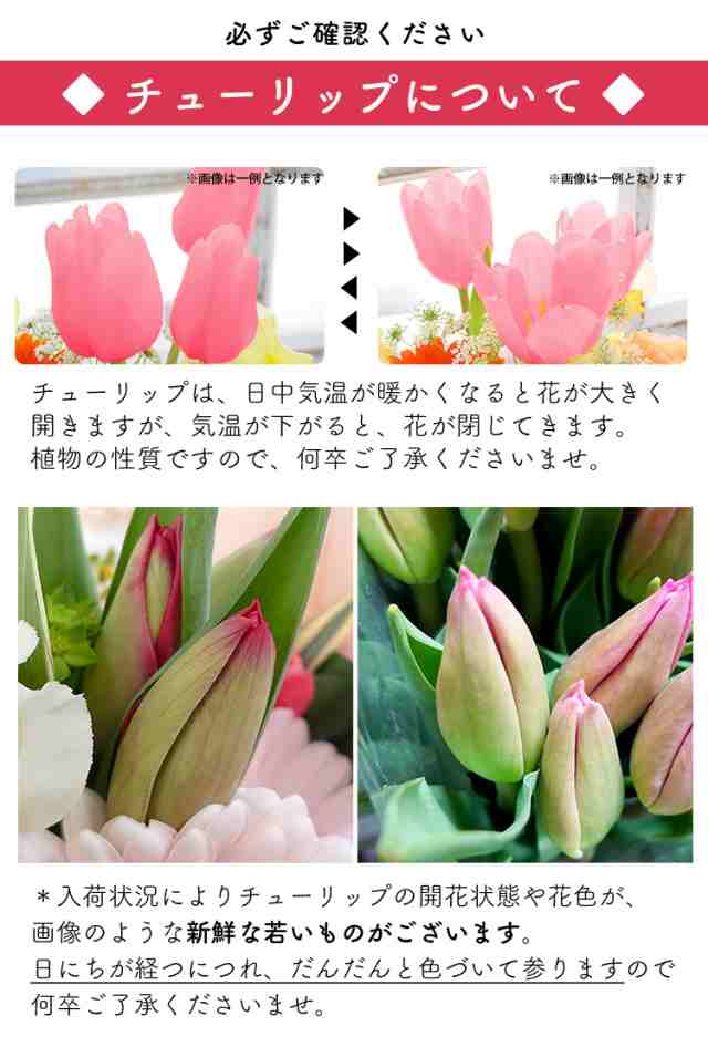 チューリップと春のお花の花束 ブーケ 選べる2色 チューリップの