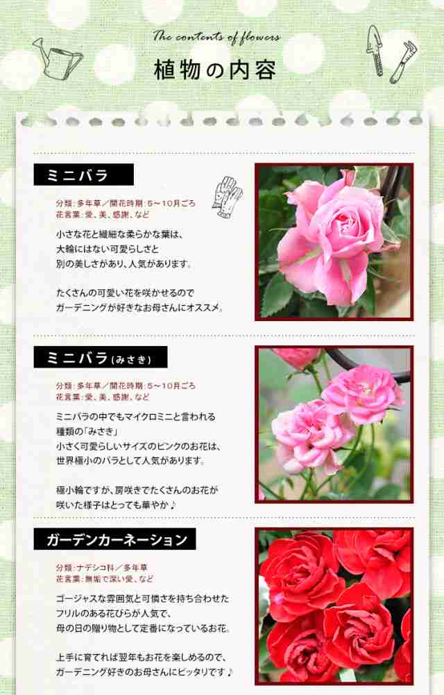 母の日 ギフト 花 プレゼント 21 ミニチュアローズ寄せ植え Inプレート付き バスケット 鉢植え 5 4 5 9の間にお届けの通販はau Pay マーケット フラワーマーケット花由