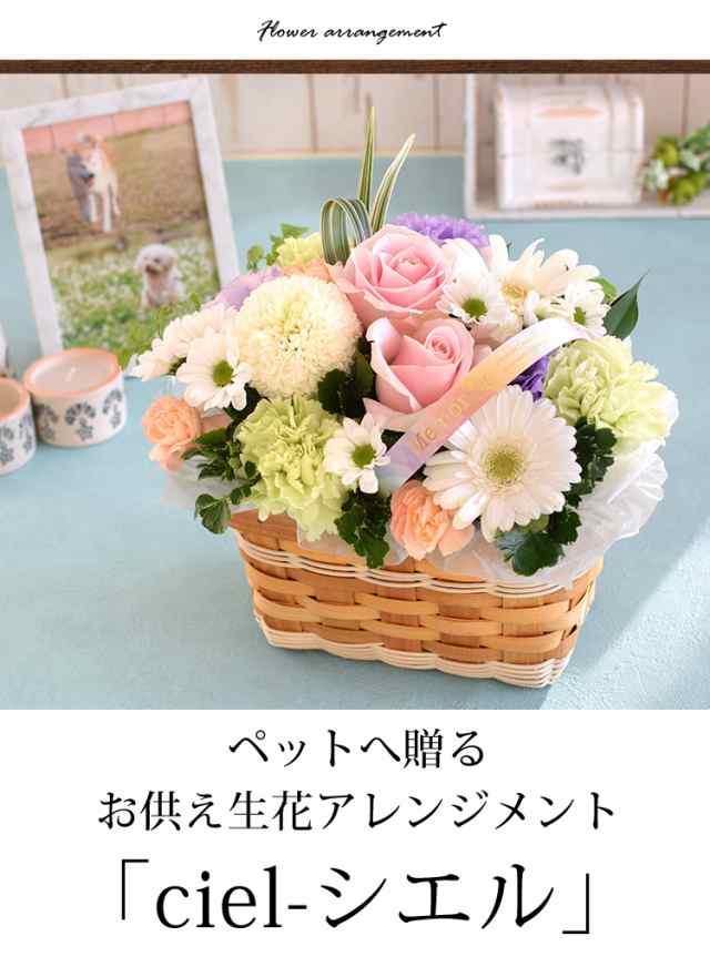 ペットに贈るお供え生花アレンジメント Ciel New シエル お供え花 仏花 フラワー 花 お悔やみ 虹の橋 ペット供養 お供え お悔やみ おの通販はau Pay マーケット フラワーマーケット花由