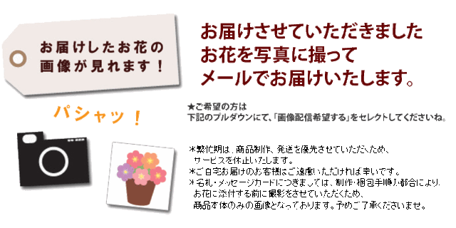 季節のおまかせ花鉢とグリーンの寄せ入れｓサイズ フラワーバスケット 花 ギフト 誕生日 プレゼント 母 女性 祖母 お花 おしゃれ お祝いの通販はau Pay マーケット フラワーマーケット花由